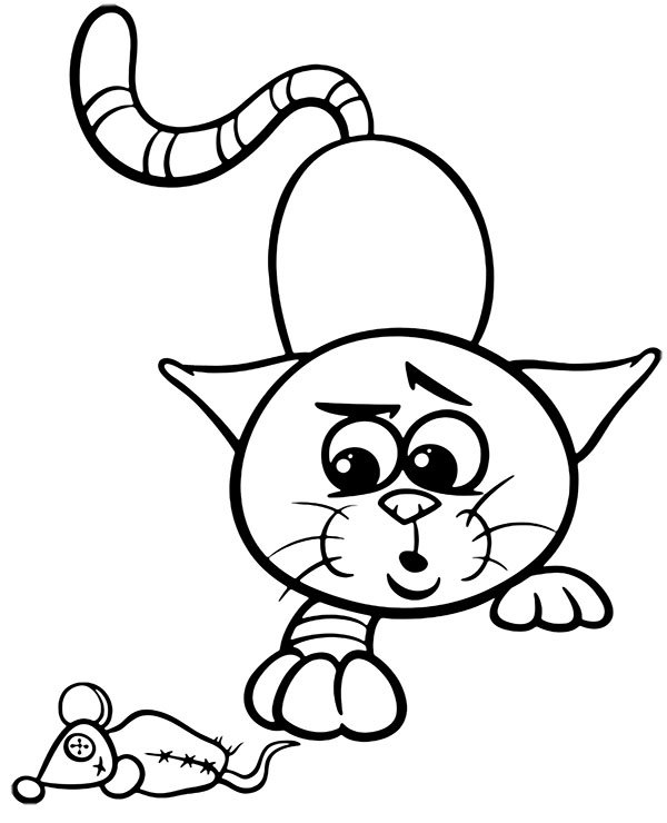 Cats