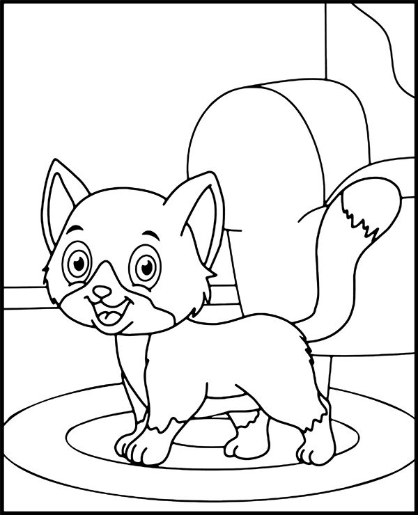 Cats
