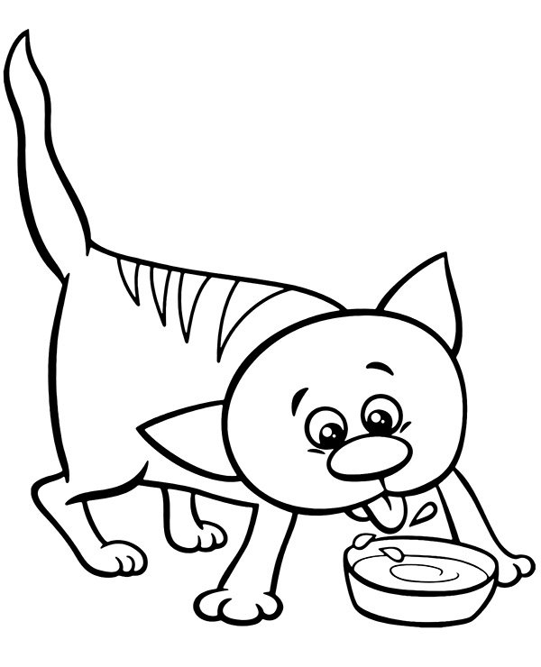 Cats