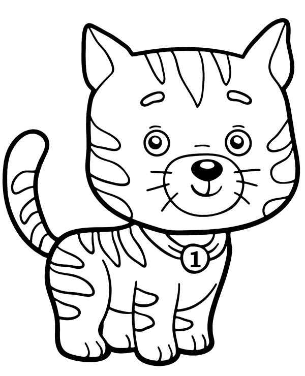 Cats