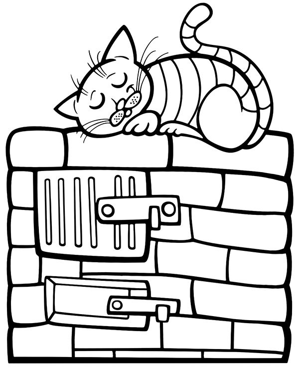 Cats