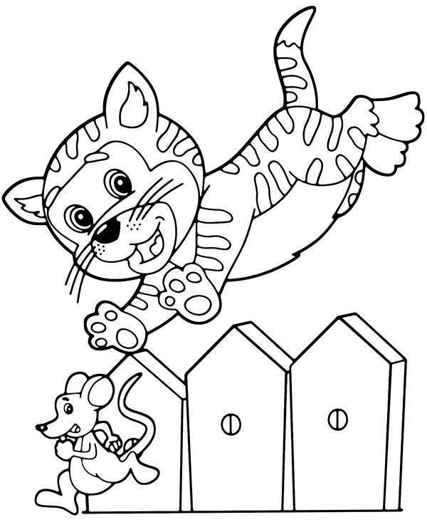 Cats