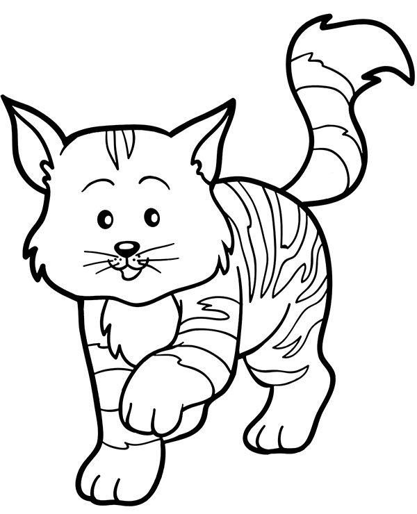 Cats
