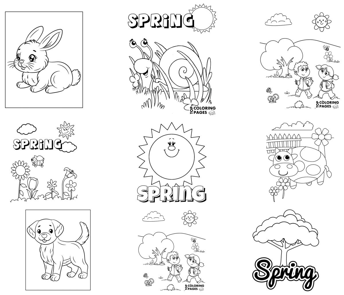 48 drawings — To color and print